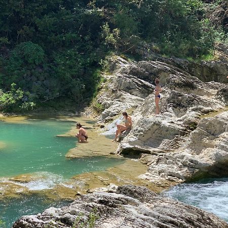 La Forestale Luxury Ecolodge - La Suite Royale Acqualagna Dış mekan fotoğraf